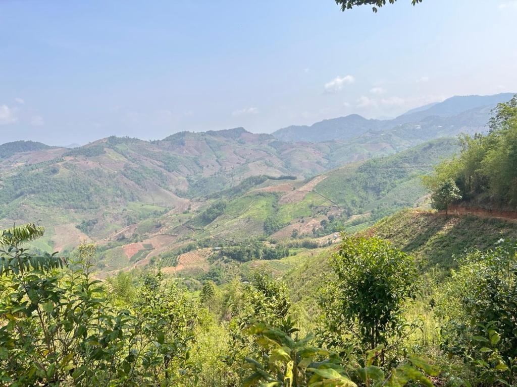 My Story Doichang Chiangrai Ban Huai Khai Luaran gambar